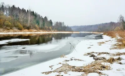 Последний месяц зимы начнется с сырой погоды - Delfi RU