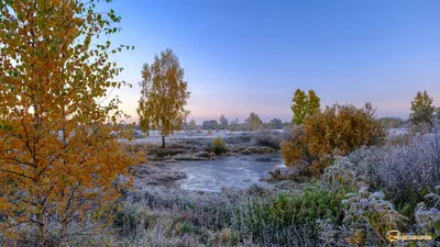 Фотогалерея: пейзажи поздней осени ( фото авторские) | Лариса Трощенкова |  Дзен