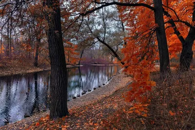 Красивые пейзажи поздней осени (50 фото) - 50 фото