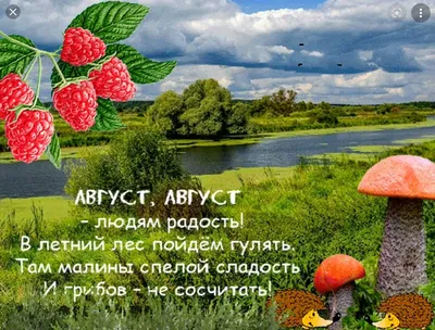 🌻 Здравствуй август! | Поздравления, пожелания, открытки | ВКонтакте