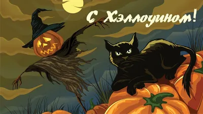 Хэллоуин 2023: поздравления в прозе и стихах, картинки на украинском —  Разное