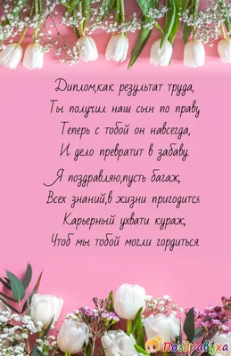 Владимир Колокольцев поздравил выпускников Московского университета МВД  России им. В.Я. Кикотя с окончанием вуза