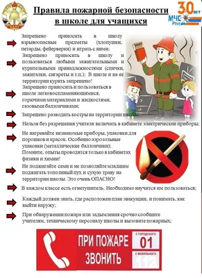 ГБОУ школа №84 - Пожарная безопасность детей