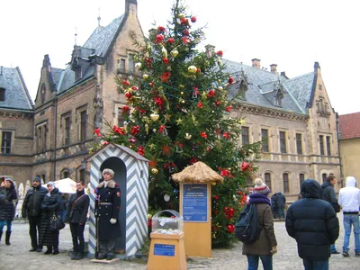 Прага в декабре, отдых и погода в Праге (Чехия)