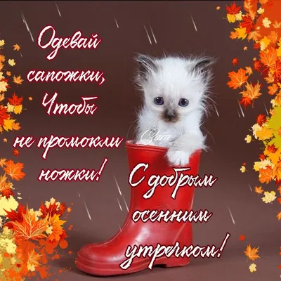 С Добрым Утром! Прекрасного Осеннего Денечка!🍂 Осенний ПРИВЕТИК!🍁 -  YouTube