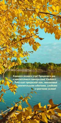 Пожелание доброго осеннего утра воскресенья - 75 фото