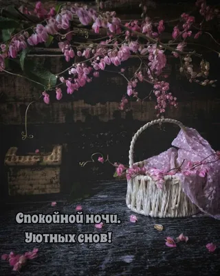 Спокойной ночи, добрых снов 😘❤️😴 | TikTok