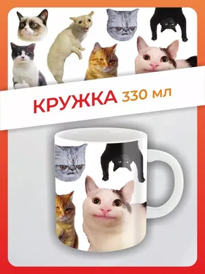 Кружка в подарок рисунок кот, кошка, котик мем приколы FAN-BOX 145079819  купить за 369 ₽ в интернет-магазине Wildberries