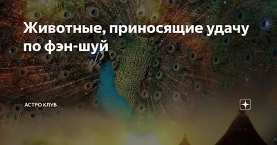 Фразы приносящие удачу - 📝 Афоризмо.ru