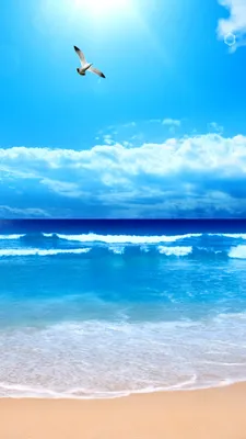 Картина на холсте закат на море у океана природа пейзаж (7) 20х30 см -  купить по низкой цене в интернет-магазине OZON (1162993427)