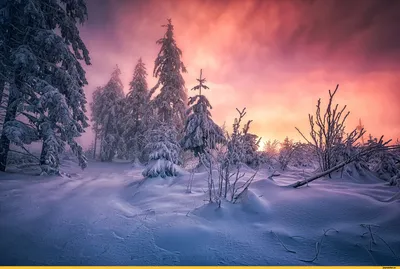 Контрасты природы - ( Зима за городом) | Instagram
