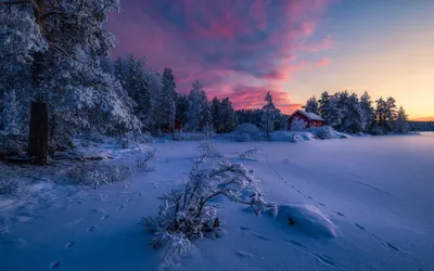 Путь через снежный пейзаж зимней природы. Красивая Snowcovered зима дерева  Стоковое Фото - изображение насчитывающей блицкрига, место: 209757462