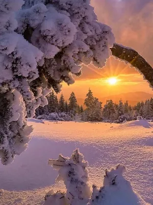 Фото 887286468005 из альбома Разное. Разместил ☛ 𝒯𝒽𝑒 𝒢𝒶𝓁𝓁𝑒𝓇𝓎 в ОК  | Winter scenery, Winter scenes, Beautiful winter scenes