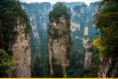 Китай: Горы Аватара в Чжанцзяцзе | Пикабу