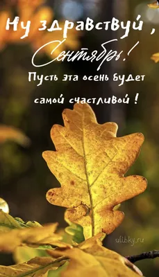 Плакат вырубной \"Здравствуй, осень золотая\": 328х315 мм – купить по цене:  29,70 руб. в интернет-магазине УчМаг