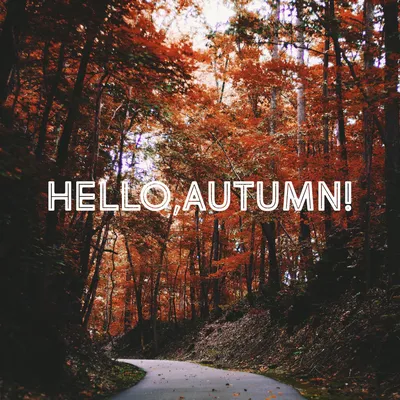 Красивые картинки \"Привет, Осень!\" (42 фото)