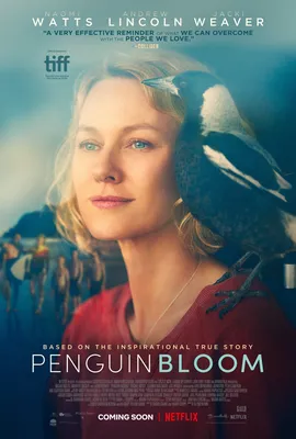 Penguin Bloom (2020) - IMDb