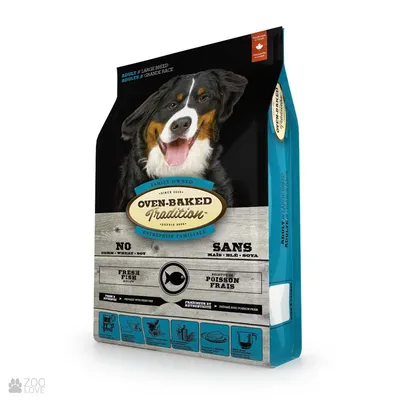 Шлейка для собак средних и крупных пород с регулировкой прогулочная шлейка  для больших собак и животных JOY - купить с доставкой по выгодным ценам в  интернет-магазине OZON (213532205)