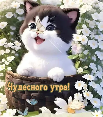 Необычные картинки \"Доброе утро!\" (237 шт.)