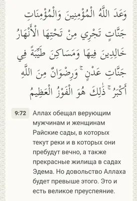 Мы не смогли убедить людей, что ислам — это свет» — Шавкат Мирзиёев –  Новости Узбекистана – Газета.uz