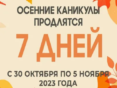 Летние каникулы 2023: с какого числа начинается отдых у школьников в России