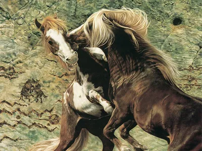 Найрідкісніші породи коней - Nature Park \"Beremytskoe\"