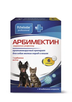 Названы самые популярные породы кошек и собак в России | Ветеринария и жизнь