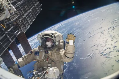 Загадка космического вакуума: почему космонавты теряют ногти после выхода в  открытый космос? | Внимание!!! Говорит научка!!! | Дзен