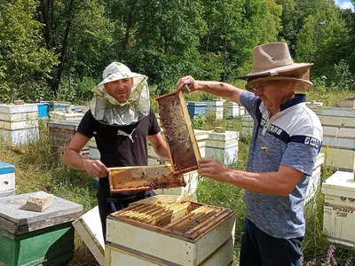 Открытка на Медовый Спас - баночка с медом и пожелание