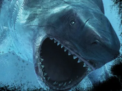 Цари подводного мира: Мегалодон vs Левиафан Мелвилла | Пикабу