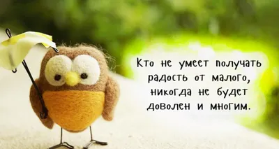 Чем радость отличается от веселье и почему это важно? - Мудрый вывод  Джозефа Аддисона | Литература души | Дзен