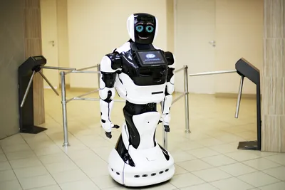 Стальной Шарик: восемь самых необычных роботов-животных | РБК Тренды