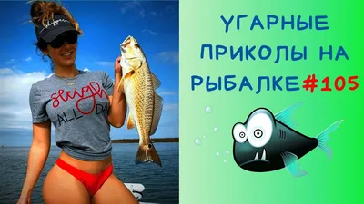 Смех и рыбалка\" - Подборка самых смешных фото с рыбалки | Рыбалка с  Денчиком | Дзен