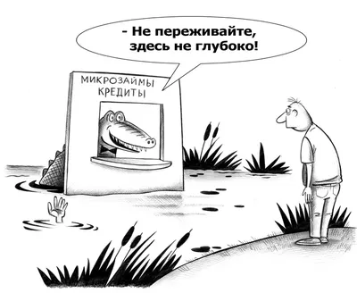 Смешные фото животных в дикой природе 2023 - кто победил в номинации | РБК  Украина