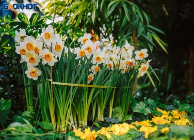 Картинка Красивая картинка про весну » Весна » Природа » Картинки 24 -  скачать картинки бесплатно