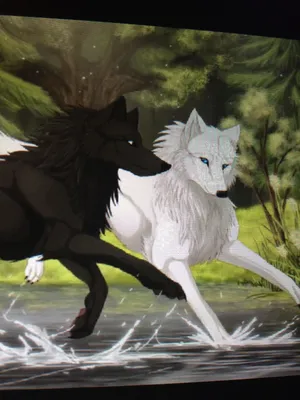 АНИМЕ смотреть как нарисовать аниме волка Watch ANIME how to draw anime  wolf - YouTube