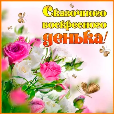 с воскресеньем вас. #юмор приколы #коты приколы #собаки# | TikTok