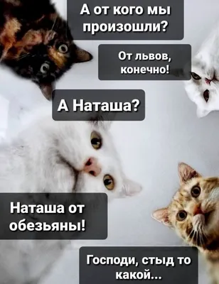 Доброго утра и прекрасного настроения!) #открытка #доброеутро #пожелан... |  TikTok