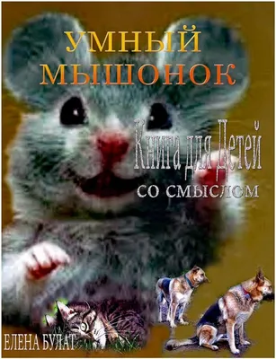 Мы в ответе за тех, кого приручили! - Официальный сайт городского округа  город Кумертау