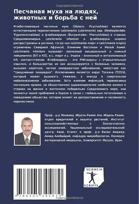 Франкл В.: Сказать жизни \"ДА!\": психолог в концлагере: купить книгу по  низкой цене в интернет-магазине Meloman | Алматы