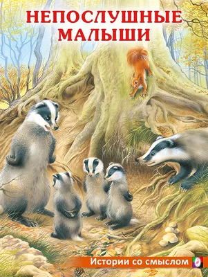 Amazon.com: Песчаная муха на людях, животных и борьба с ней (Russian  Edition): 9786205345870: Абдел-Рахеем, Мохамед, Алобаидии, Васан: Books