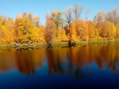 Итоги фотовыставки«Золотая осень»