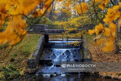 Отменяем холода и встречаем золотую осень! - Лента новостей Мелитополя