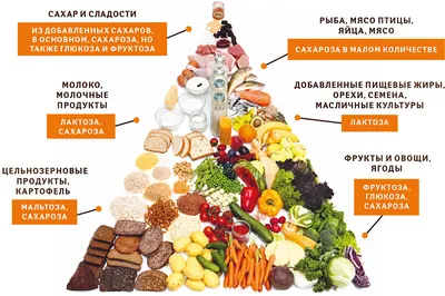 Продукты животного происхождения — Новости — Научно-популярный журнал  «ИКСТАТИ» — Национальный исследовательский университет «Высшая школа  экономики»