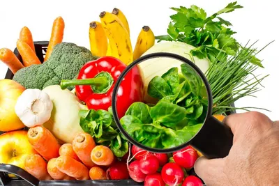 Рекомендации в области питания и пирамида питания | Tervisliku toitumise  informatsioon