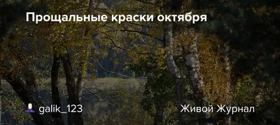 Прощальные гастроли или почему визит Зеленского в США увенчался провалом -  войнасфейками.рф