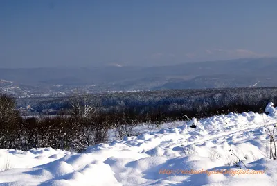 Вместе весело шагать: Прощание с зимой