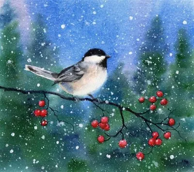 Картинки птички зимой фотографии