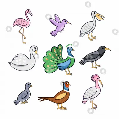 Цветное изображение птицы-мультипликатора на ветке на белом фоне  Иллюстрация вектора для детей Иллюстрация вектора - иллюстрации  насчитывающей пуща, вложенность: 165304849