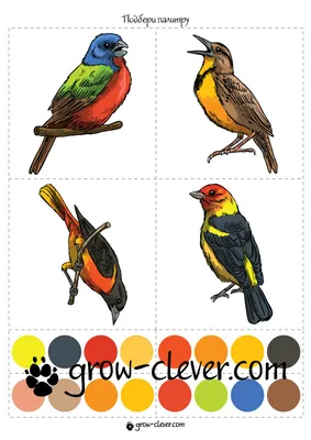 Раскраски советские птицы (49 фото) » Картинки, раскраски и трафареты для  всех - Klev.CLUB